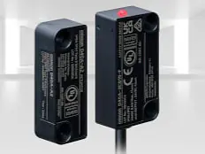 Sicherheitstürschalter D40A-2