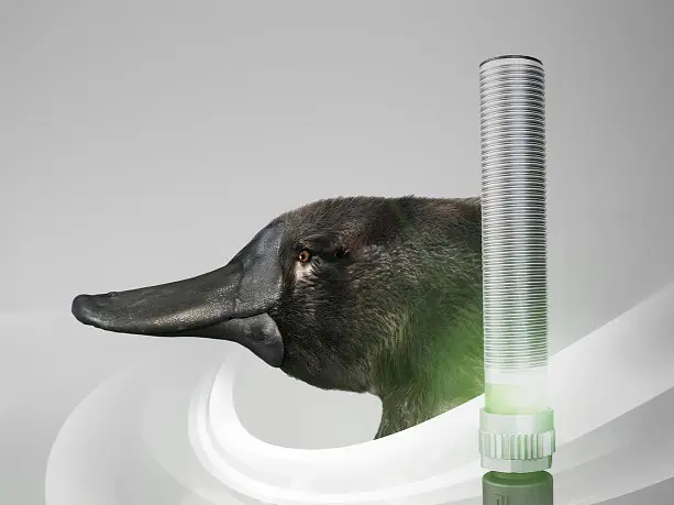 Mit Elektrosinn im Vorteil – berührungslos erkennen, detektieren, überwachen 